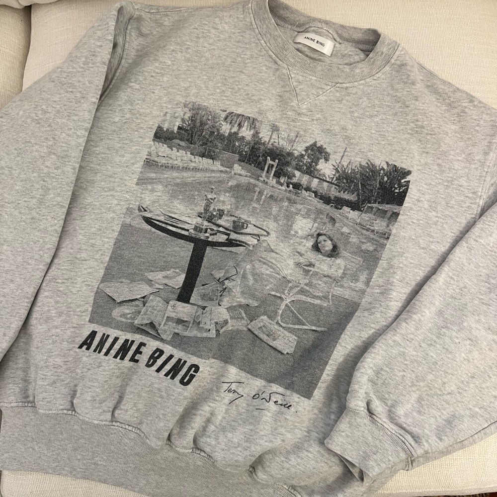Anine Bing Gray Graphic Sweatshirt